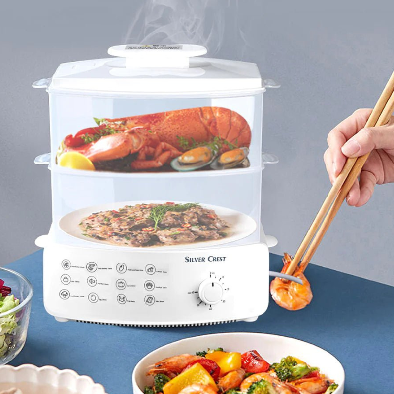 Electric Steamer and Defroster