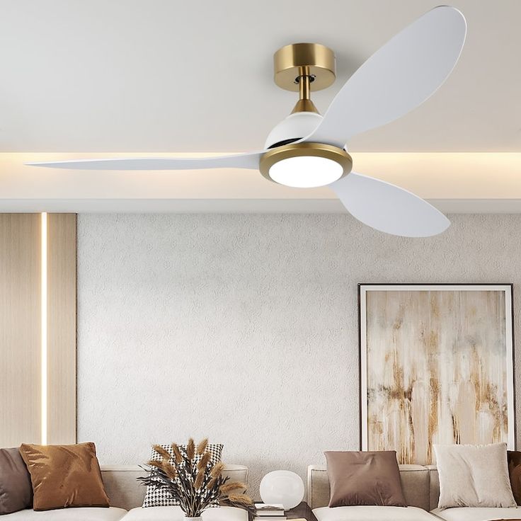Ceiling Fans & Fixtures
