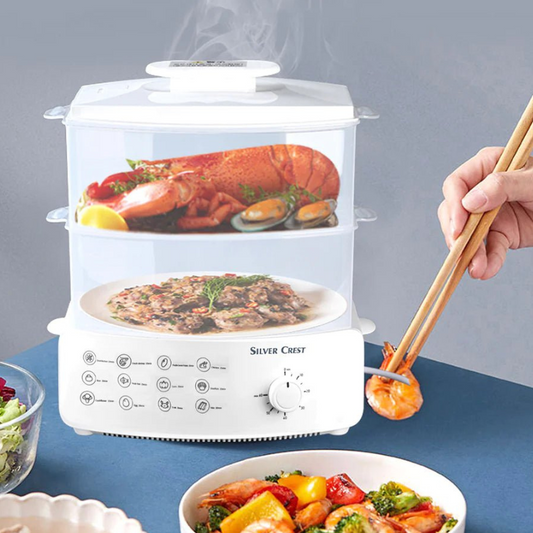 Electric Steamer and Defroster