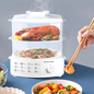 Electric Steamer and Defroster